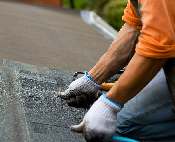 Best Metal Roofing Contractor  in Dumfries, VA