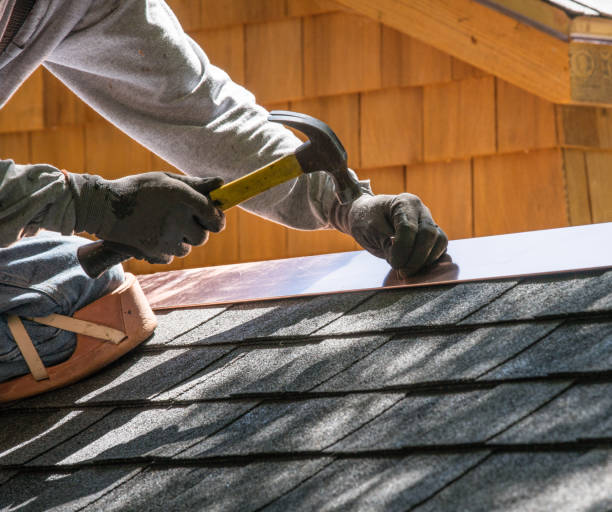 Roof Gutter Cleaning in Dumfries, VA